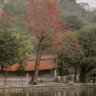 nhất dị thu chi