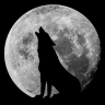 Lonely Wolf