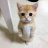 hOan_kiD