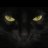blackcat0807