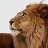 leoking