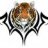 phongthan10