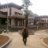 Nguyenthaokts77