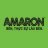 Amaron Battery