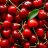 CherryOne