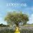 loccitane90