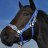 Black Caviar