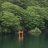 Greentree01