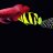 dragonfish