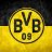 BVB09