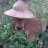 Ᏼò đỘi NóN
