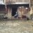 Mã_051285