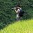 _sonlam