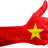 vietjones