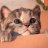 meomuopmiumiu