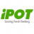 ipot2019