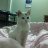 qa_qa