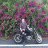 Hieutran6868
