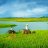thanhhung.123