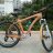 Chien_568