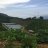 NTD Farm
