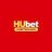 hubetwnzinfo