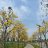 ThanhHuong1992