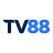 tv88limited